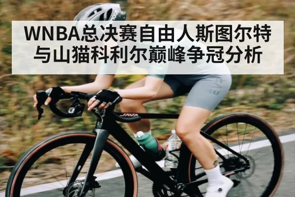 WNBA总决赛自由人斯图尔特与山猫科利尔巅峰争冠分析